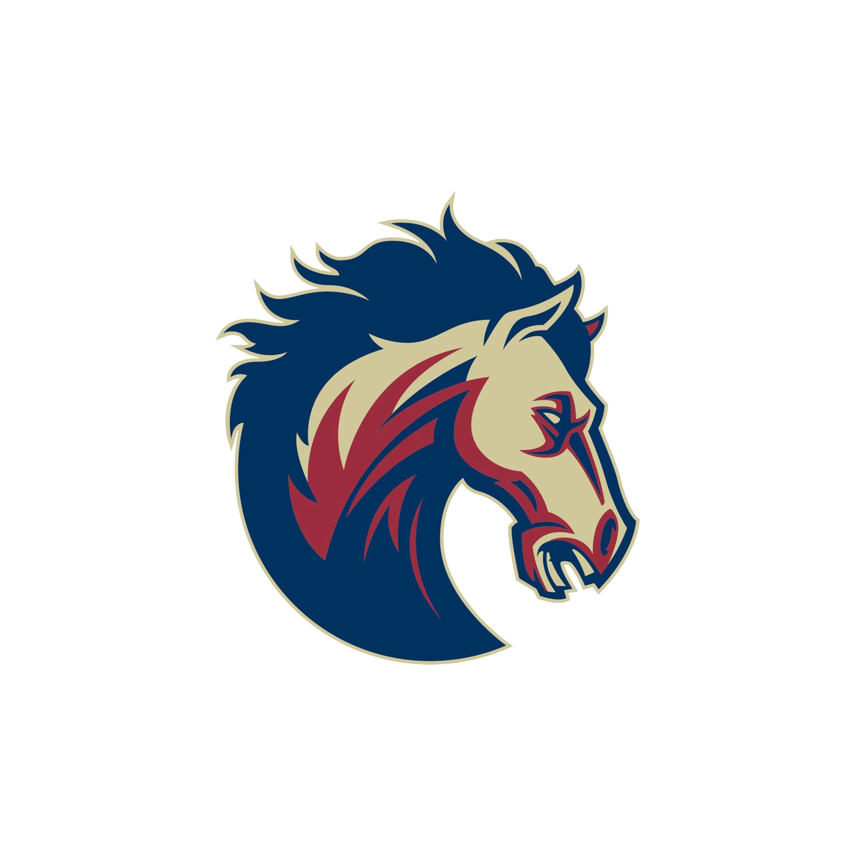 Mallard Creek High School Southern Recognition, Inc. Graduate