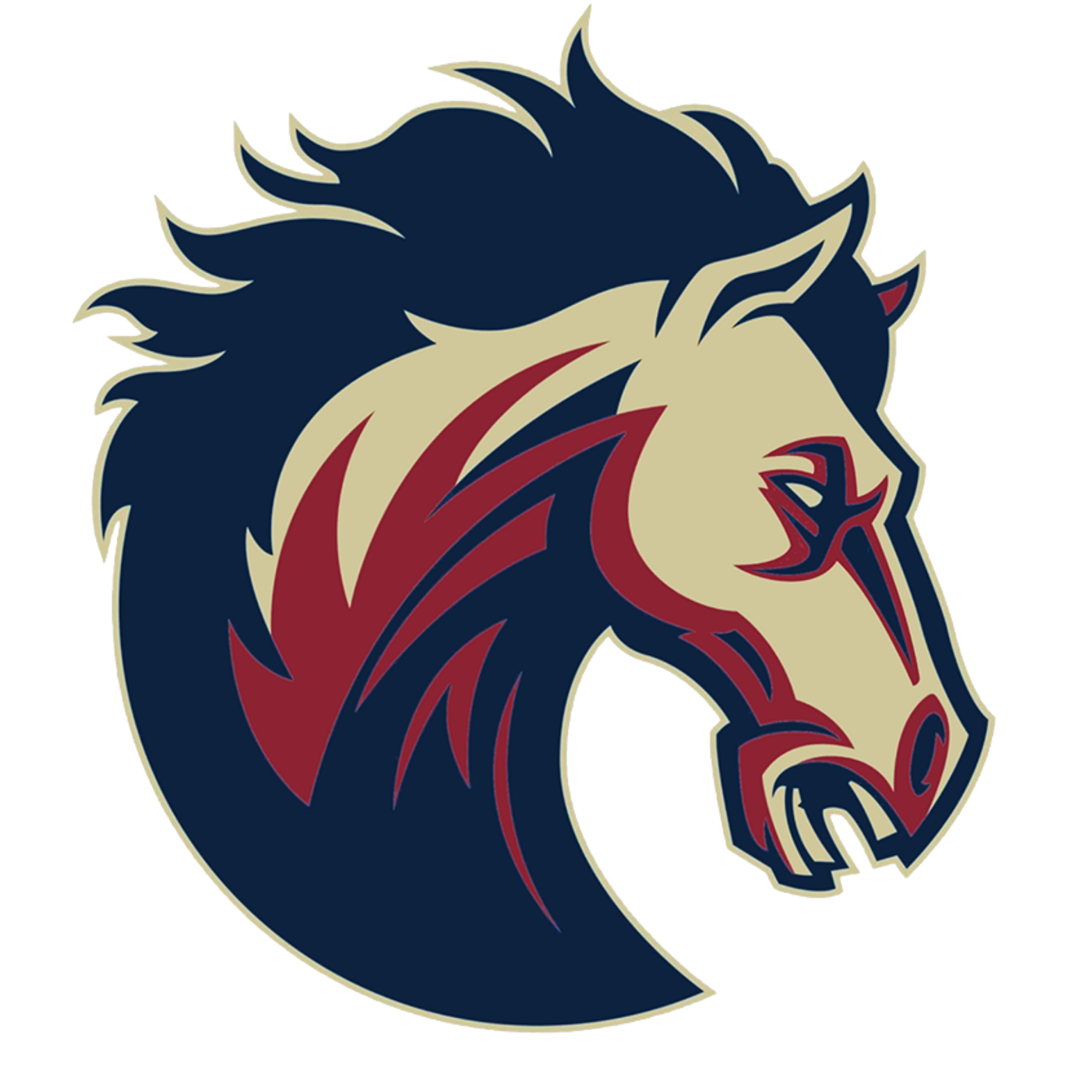 Mallard Creek High School