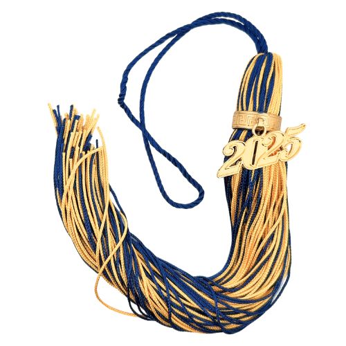 Jumbo Tassel - Navy and Vegas Gold + Gold Clasp