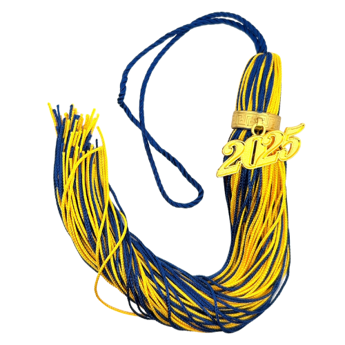 Jumbo Tassel - Navy and Yellow Gold + Gold Clasp